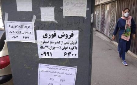 فروش کلیه،اخبار اجتماعی،خبرهای اجتماعی