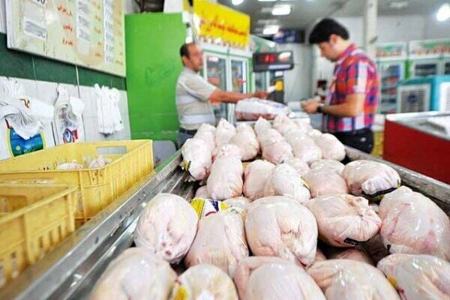 مرغ،اخبار اقتصادی،خبرهای اقتصادی