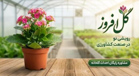 نمای بیرونی و داخلی یک گلخانه هیدروپونیک مدرن با تابلو گلافروز نمای بیرونی و داخلی یک گلخانه هیدروپونیک مدرن با تابلو گلافروز