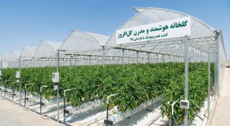 نمای بیرونی و داخلی یک گلخانه هیدروپونیک مدرن با تابلو گلافروز، نشاندهنده کشت گوجهفرنگی با سیستمهای پیشرفته. نمای بیرونی و داخلی یک گلخانه هیدروپونیک مدرن با تابلو گلافروز، نشاندهنده کشت گوجهفرنگی با سیستمهای پیشرفته.