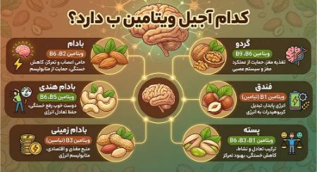 کدام آجیل ویتامین ب دارد کدام آجیل ویتامین ب دارد