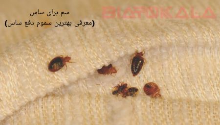 سم برای ساس (نحوه پاکسازی و دفع ساس) سم برای ساس (نحوه پاکسازی و دفع ساس)