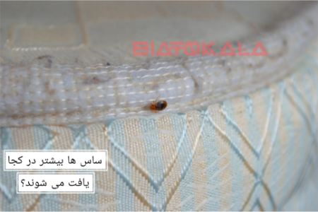 ساس ها بیشتر در کجا یافت می شوند؟ ساس ها بیشتر در کجا یافت می شوند؟