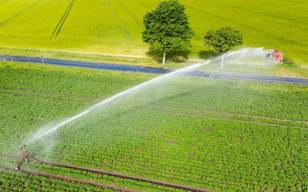 عکسهای جالب,عکسهای جذاب,آبیاری مزرعه سیب زمینی در هانوفر آلمان