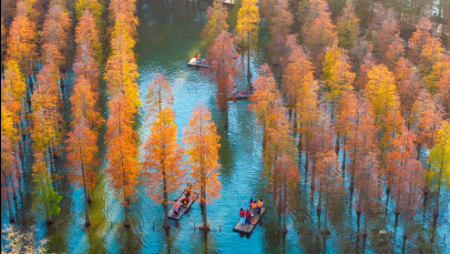 عکسهای جالب,عکسهای جذاب,گردشگران در حال قایقرانی در طبیعت پاییزی تالاب دریاچه هونگزه