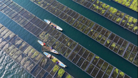 عکسهای جالب,عکسهای جذاب,پرورش سبزیجات روی بسترهای شناور اکولوژیکی در چین