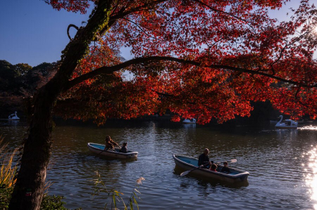 عکسهای جالب,عکسهای جذاب,قایق سواری در پارک اینوکاشیرا