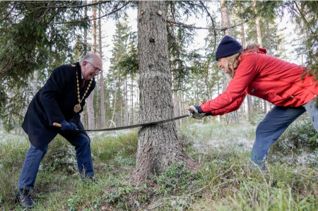 عکسهای جالب,عکسهای جذاب, درخت کریسمس 2025 