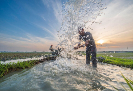 عکسهای جالب,عکسهای جذاب,آبیاری شالیزارهای برنج در حومه شهر داکا بنگلادش 