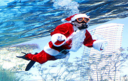 عکسهای جالب,عکسهای جذاب,کریسمس در آکواریوم توکیو