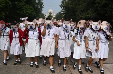 عکسهای جالب,عکسهای جذاب,دانشجویان هندی در کلکته در تجمعی برای حمایت از حیوانات