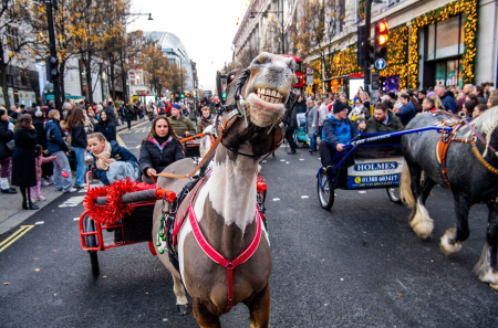 عکسهای جالب,عکسهای جذاب,جشن های کریسمس در لندن