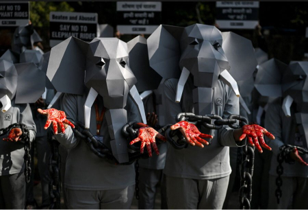 عکسهای جالب,عکسهای جذاب,حامیان رفتار اخلاقی با حیوانات در آستانه روز جهانی حقوق حیوانات، اعتراضی را در شهر دهلی علیه فیل‌سواری و سوءاستفاده از حیوانات برگزار کردند.