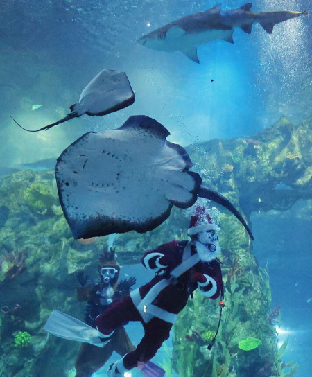 عکسهای جالب,عکسهای جذاب,آکواریوم شهر سئول