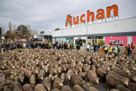 عکسهای جالب,عکسهای جذاب,راهپیمایی اعتراضی دامداران فرانسوی 