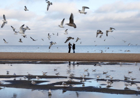 عکسهای جالب,عکسهای جذاب,ساحل شهر 