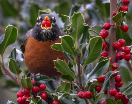 عکسهای جالب,عکسهای جذاب,یک 