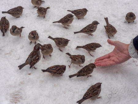 عکسهای جالب,عکسهای جذاب,بدون شرح