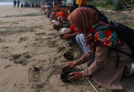 عکسهای جالب,عکسهای جذاب,رها کردن 150 بچه لاک‌پشت زیتونی 