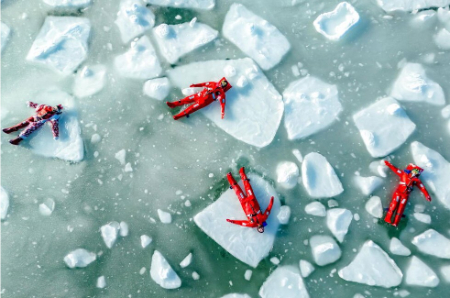 عکسهای جالب,عکسهای جذاب,فعالیت های تفریحی زمستانه در خلیج 