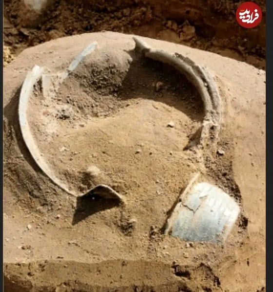 اخبار،اخبار جدید،اخبار روز