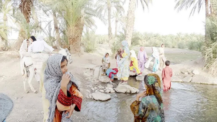 اخبار،اخبار جدید،اخبار روز اخبار،اخبار جدید،اخبار روز