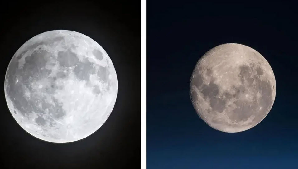 اخبار،اخبار جدید،اخبار روز