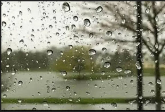 اخبار،اخبار جدید،اخبار روز