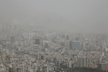 اخبار،اخبار جدید،اخبار روز