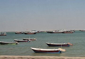 اخبار،اخبار جدید،اخبار روز