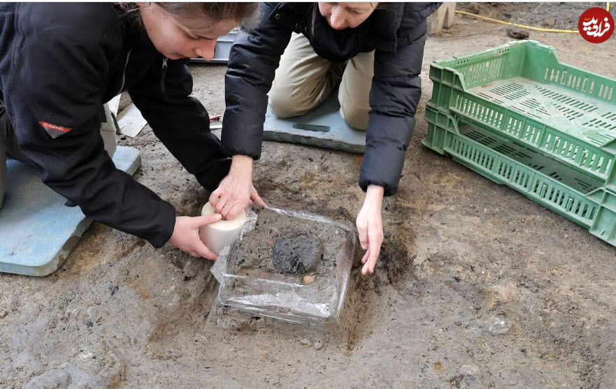 اخبار،اخبار جدید،اخبار روز