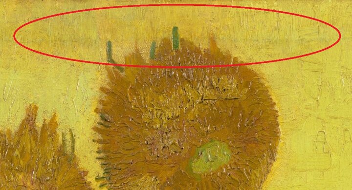 اخبار،اخبار جدید،اخبار روز