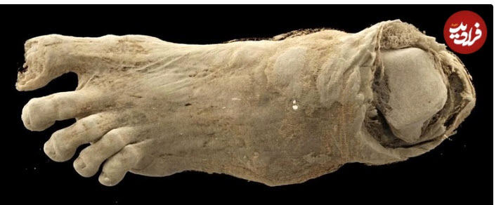 اخبار،اخبار جدید،اخبار روز