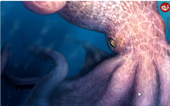 اخبار،اخبار جدید،اخبار روز