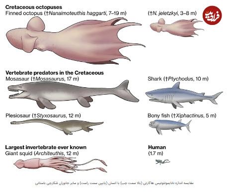 اخبار،اخبار جدید،اخبار روز