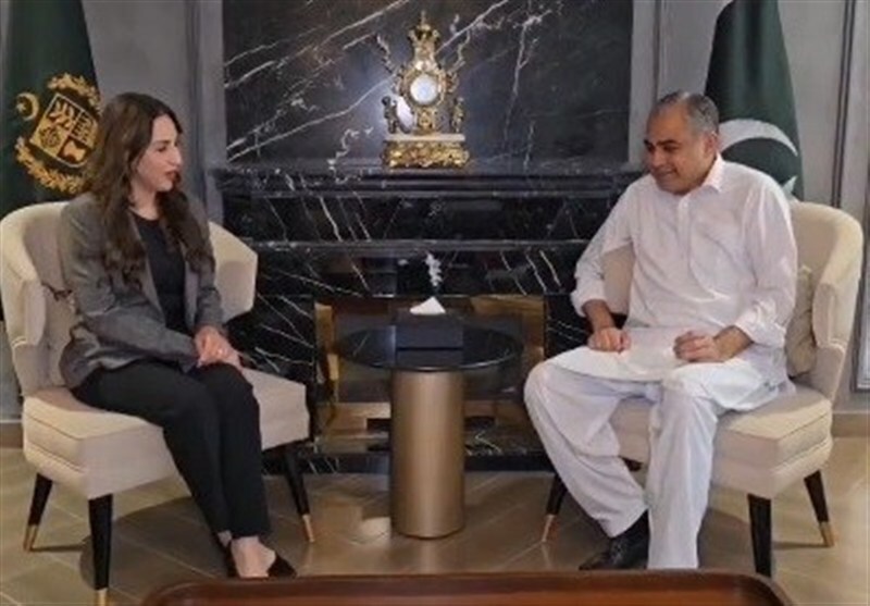 اخبار،اخبار جدید،اخبار روز