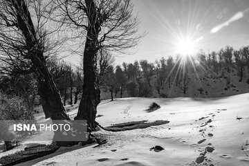 اخبار،اخبار جدید،اخبار روز