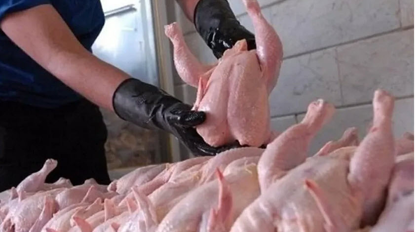 اخبار،اخبار جدید،اخبار روز