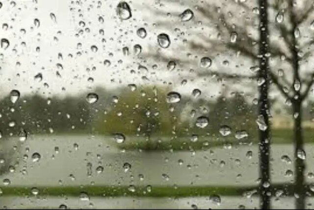 اخبار،اخبار جدید،اخبار روز