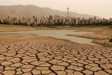 اخبار،اخبار جدید،اخبار روز اخبار،اخبار جدید،اخبار روز