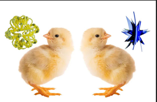 اخبار،اخبار جدید،اخبار روز اخبار،اخبار جدید،اخبار روز