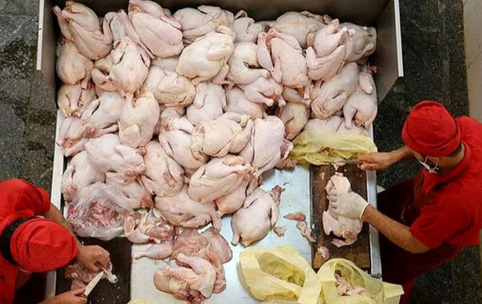 اخبار،اخبار جدید،اخبار روز