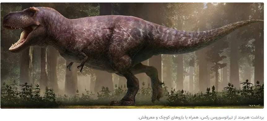 اخبار،اخبار جدید،اخبار روز