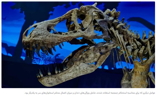اخبار،اخبار جدید،اخبار روز