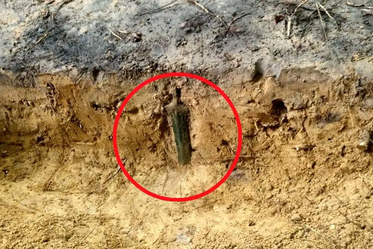 اخبار،اخبار جدید،اخبار روز اخبار،اخبار جدید،اخبار روز