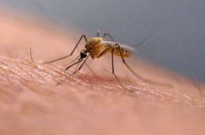 اخبار،اخبار جدید،اخبار روز اخبار،اخبار جدید،اخبار روز