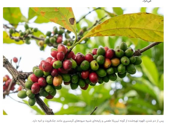 اخبار،اخبار جدید،اخبار روز اخبار،اخبار جدید،اخبار روز