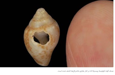 اخبار،اخبار جدید،اخبار روز اخبار،اخبار جدید،اخبار روز