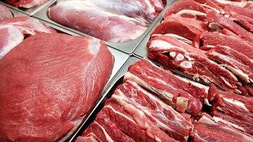 اخبار،اخبار جدید،اخبار روز