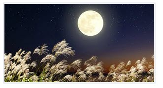 اخبار،اخبار جدید،اخبار روز اخبار،اخبار جدید،اخبار روز